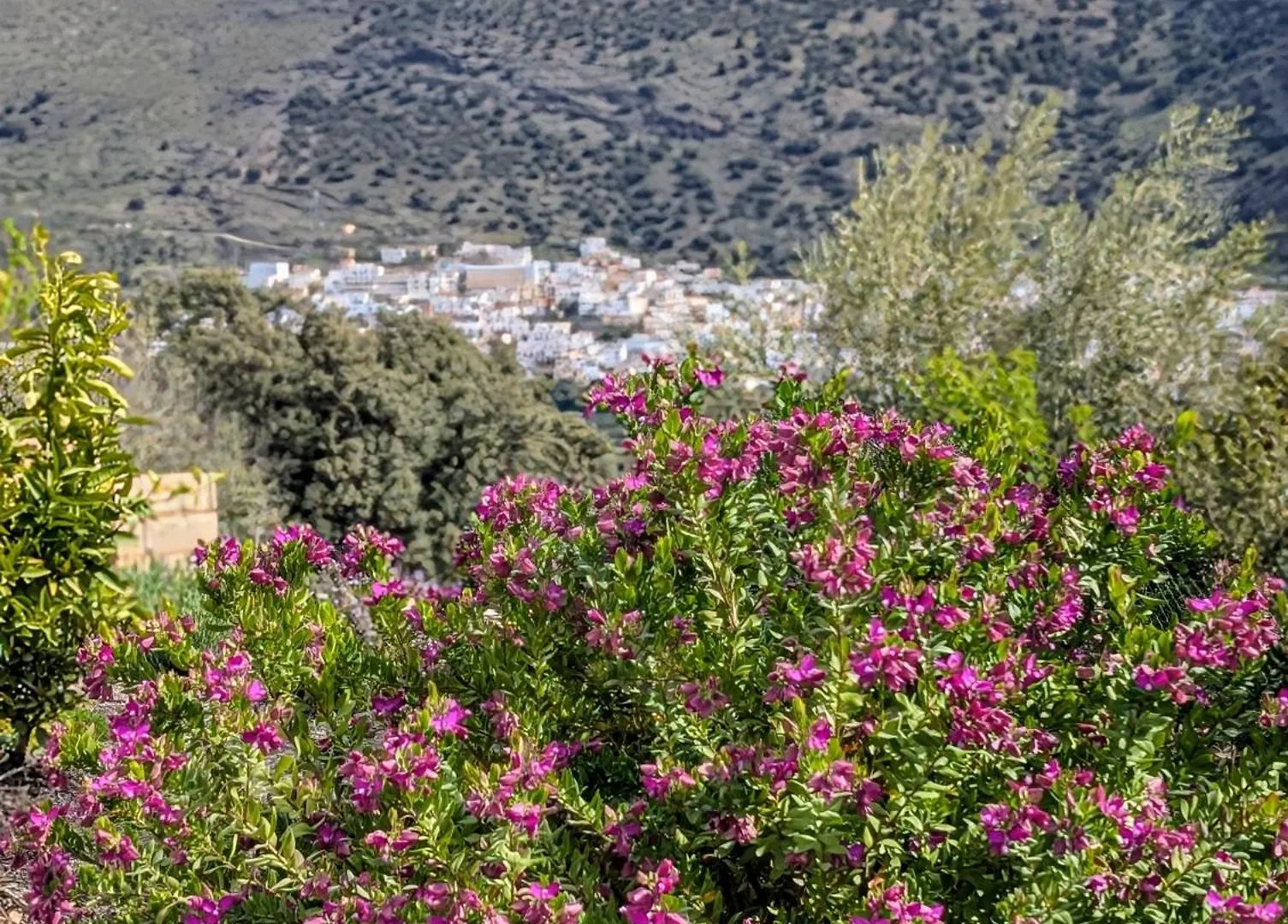 Dos Casas Rurales Juntas Ideal Para Grupos O Familias Grandes - El Cortijo Escondido Ohanes 0*,