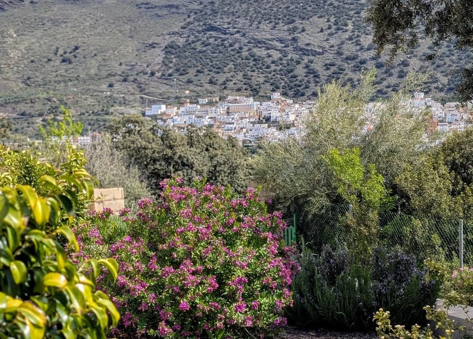 アパート Dos Casas Rurales Juntas Ideal Para Grupos O Familias Grandes - El Cortijo Escondido Ohanes