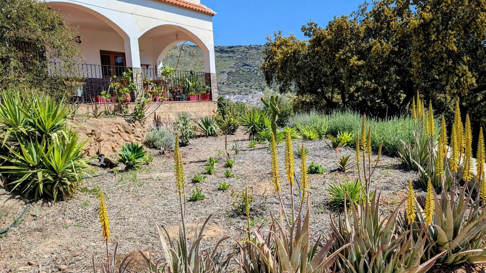 アパート Dos Casas Rurales Juntas Ideal Para Grupos O Familias Grandes - El Cortijo Escondido Ohanes