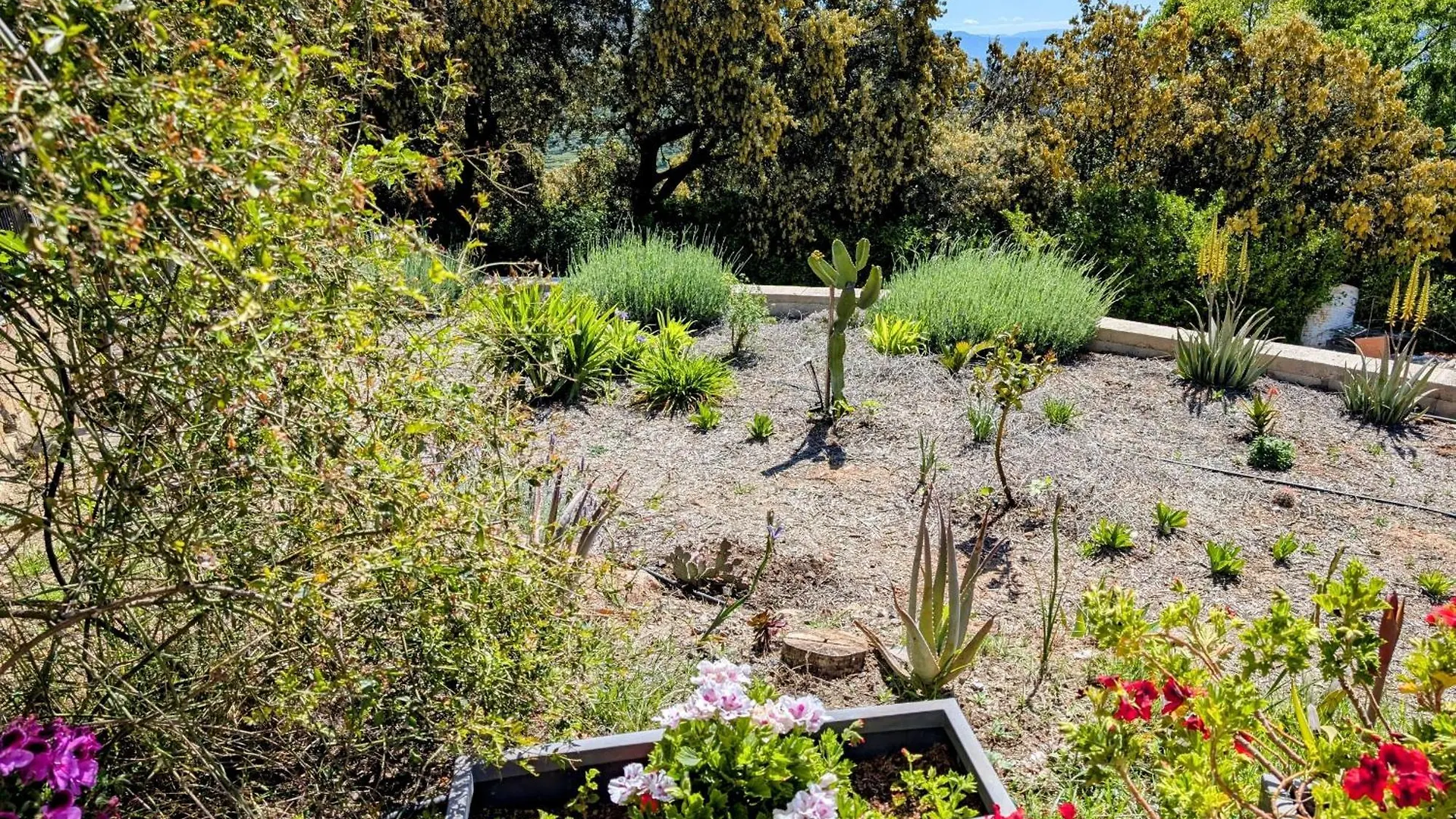Dos Casas Rurales Juntas Ideal Para Grupos O Familias Grandes - El Cortijo Escondido Ohanes
