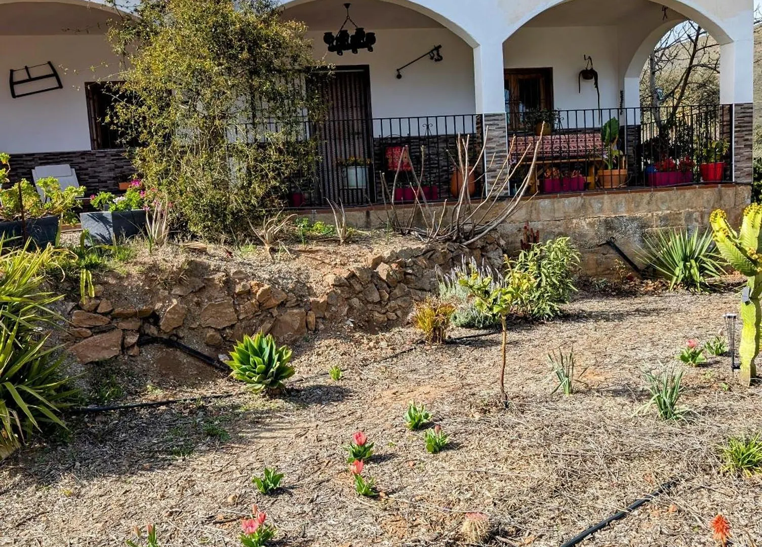 Dos Casas Rurales Juntas Ideal Para Grupos O Familias Grandes - El Cortijo Escondido Ohanes