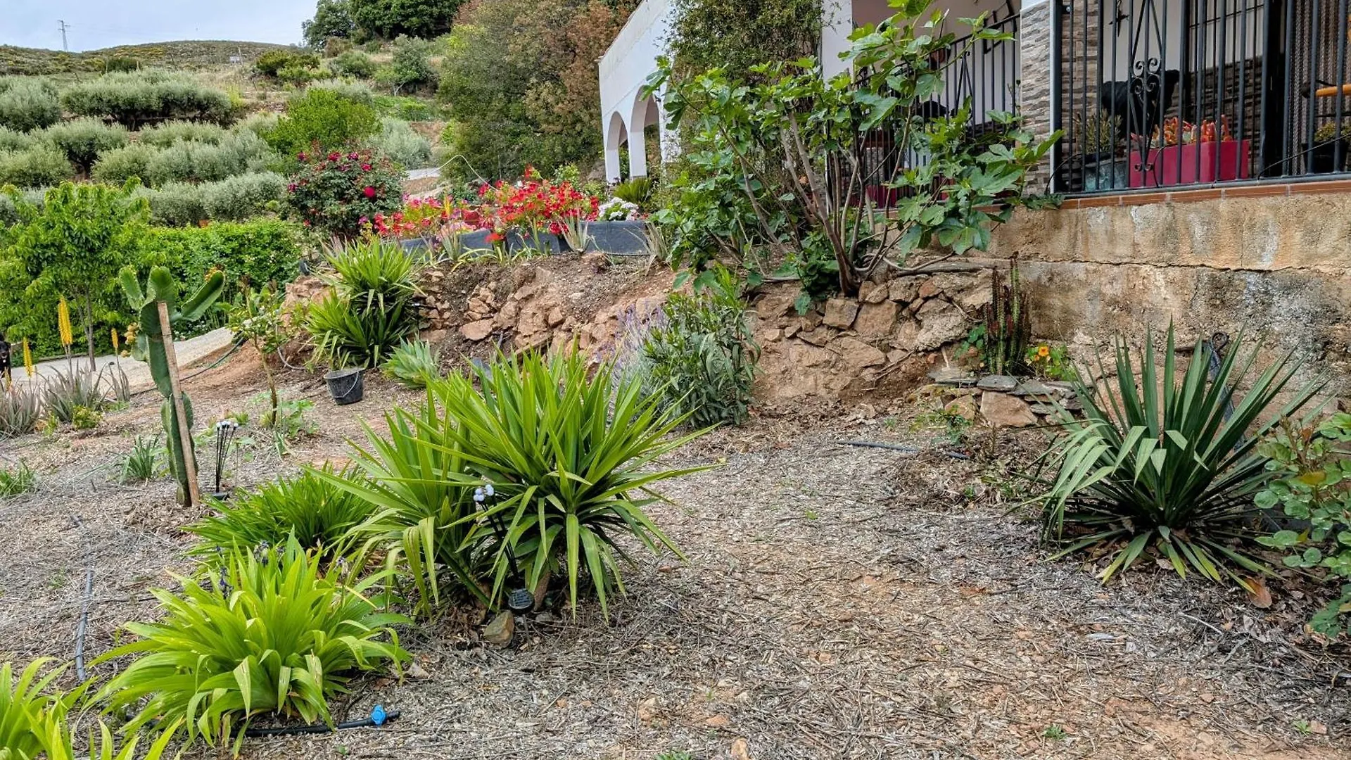 Dos Casas Rurales Juntas Ideal Para Grupos O Familias Grandes - El Cortijo Escondido Ohanes アパート