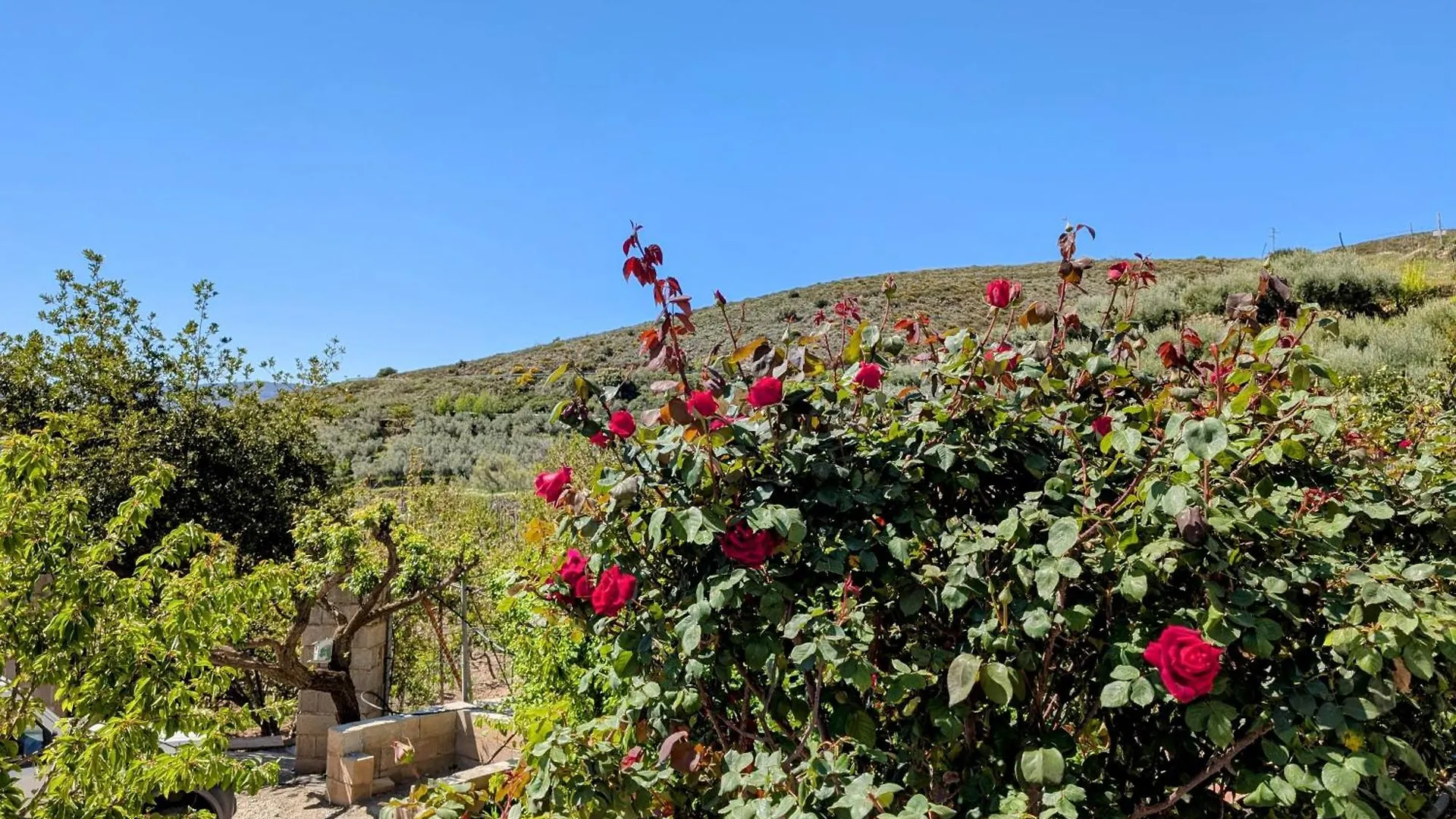 アパート Dos Casas Rurales Juntas Ideal Para Grupos O Familias Grandes - El Cortijo Escondido Ohanes