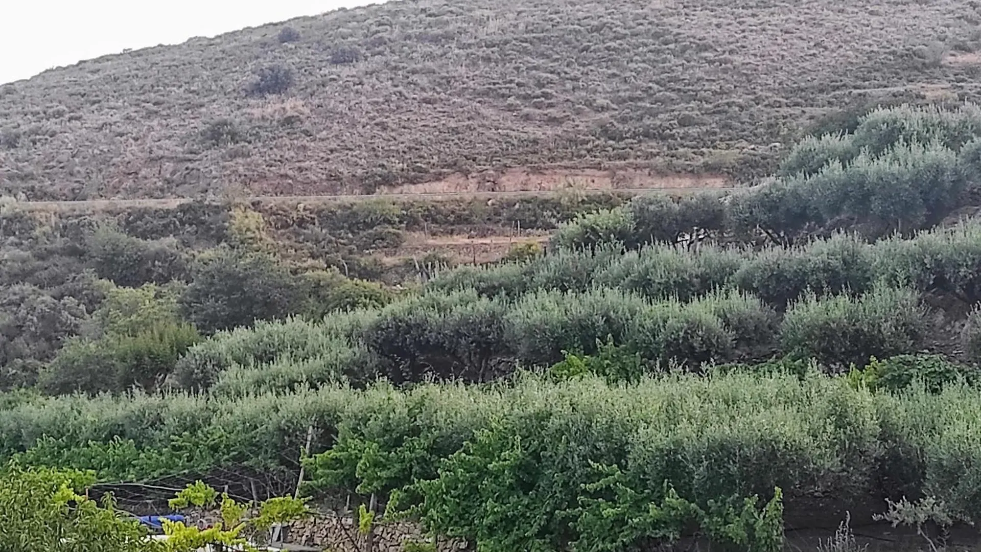 Dos Casas Rurales Juntas Ideal Para Grupos O Familias Grandes - El Cortijo Escondido Ohanes スペイン